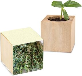 Pflanz-Holz mit Graspapier-Banderole - Samen nach Wahl - inkl. Werbedruck