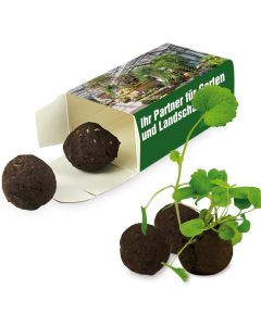 Flower-Balls in der Box mit Samen - 2er Box - inkl. Werbedruck